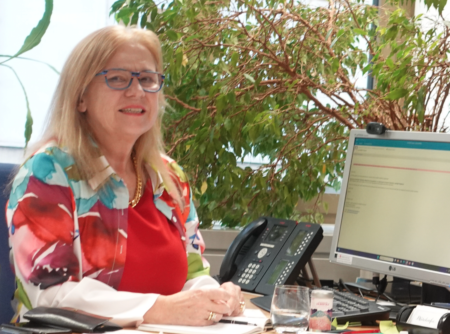 Wie kann die Lebensqualität erhalten werden ohne Wachstum? 